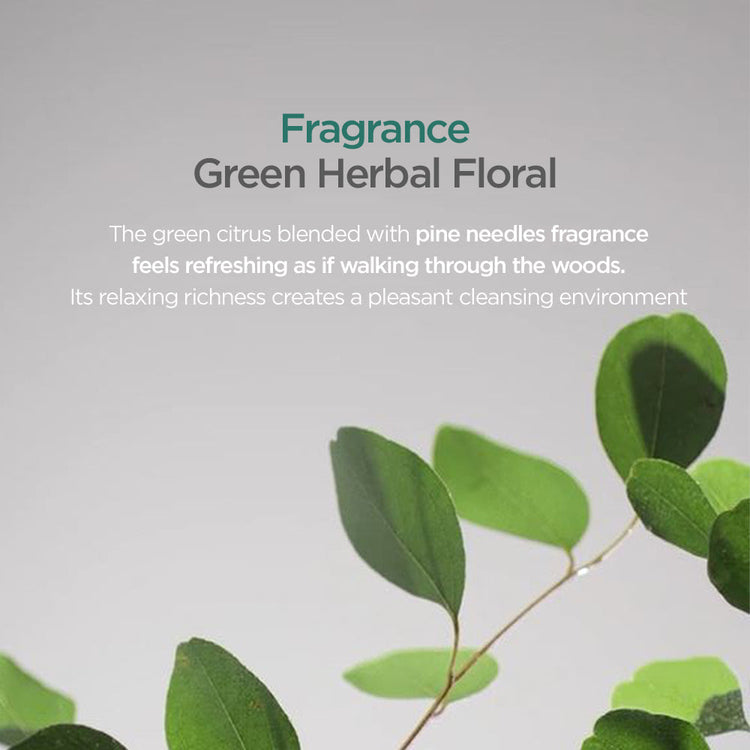 AYUNCHE REBALANCING SHAMPOO MOIST